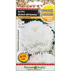 Семена Астра Русский размер Белые вершины, арт.: 12962