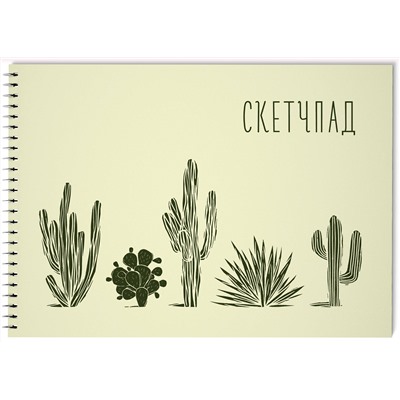 Кактусы. Скетчпад (230х180мм, офсет 160 гр., 40 страниц, евроспираль)