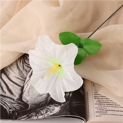 Цветы искусственные «Гиппеаструм», h=23 см, d=12 см, белые