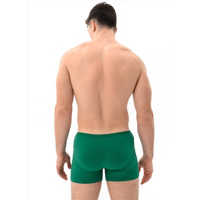 Мужские трусы Berrak