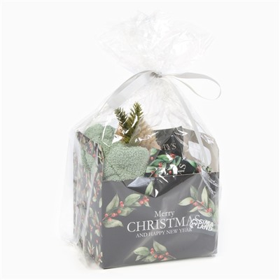 Набор новогодний подарочный "Этель" Christmas berries полотенце 30х60см и аксессуары (4 предмета)