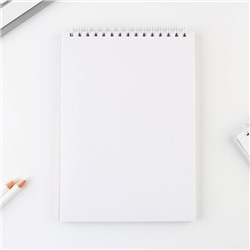 Скетчбук А5, 40 л 100 г/м² «Кот»