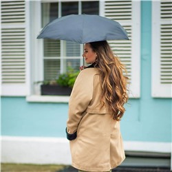 L500-01 Black (Черный) Зонт женский механика Fulton