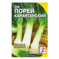 Семена Лук порей "Карантанский", 0,2 г