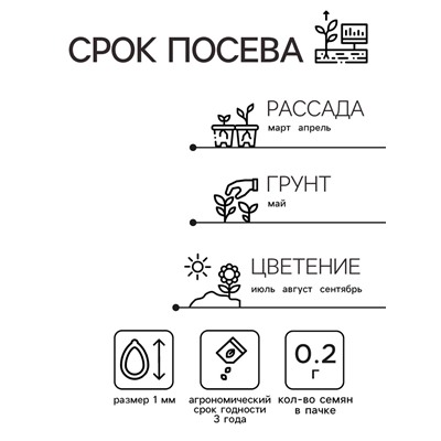 Семена Арктотис "Арлекин", ц/п,  0,2 г