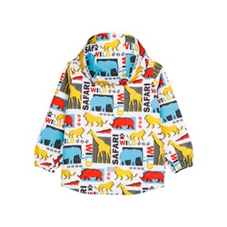 Ветровка для мальчика