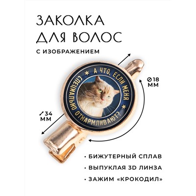 HZF-0365 Заколка А что, если?