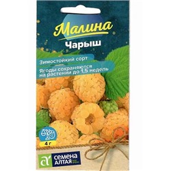 Семена Малина желтая Чарыш, арт.: 16220