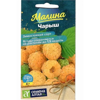 Семена Малина желтая Чарыш, арт.: 16220