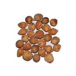 Маленькие Кокосовые орехи (11 шт), Laghu Nariyal (Coconut), произв. Pmw