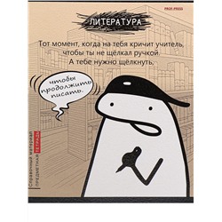 Тетрадь 48л А5 лин ЛИТЕРАТУРА «Школьные мемасики» TM Prof-Press 48-9660/80/Россия