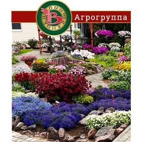 Агрогруппа Биотехника - Семена для ценителей и не только