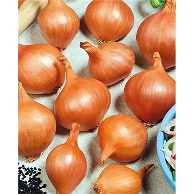 Лук семейный (шалот) Рыжик, арт.: 4526