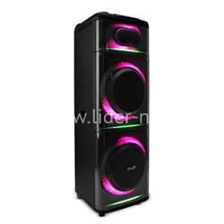 Колонка 12" (20-21 DIAMOND BOX 2500)  динамик 2шт/12" ElTRONIC с TWS