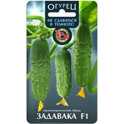 Огурец Задавака F1 (не сдаваться в темноте)