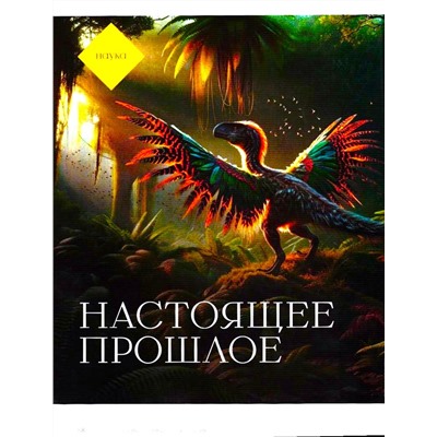 Вокруг Света 09/24 (ноябрь)