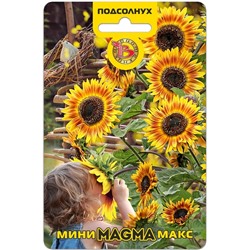 Подсолнух Мини-Макс F1 Магма