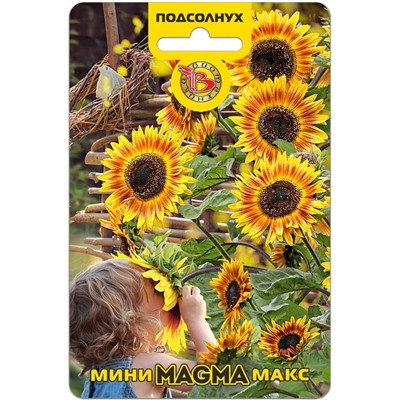 Подсолнух Мини-Макс F1 Магма