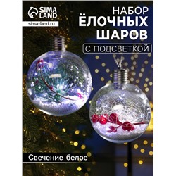 Набор ёлочных шаров «Веточки и шишки», 2 шт., d=10 см, 5 LED, от батареек, свечение белое