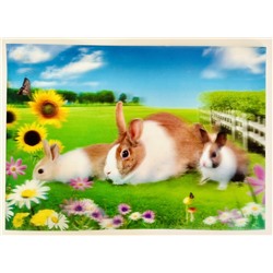 Салфетка пластиковая 3D