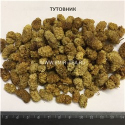 Тутовник светлый (код 0173)