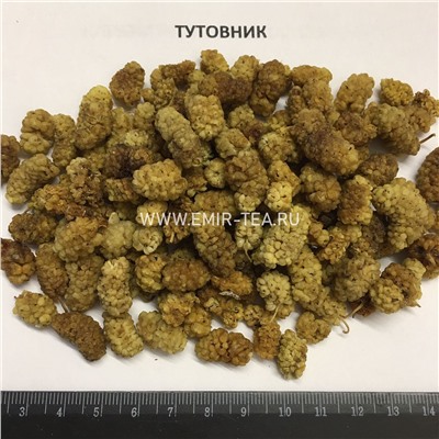 Тутовник светлый (код 0173)