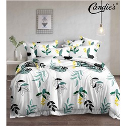 КПБ Candie's Home AB CANHAB094