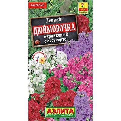 1389 Левкой карликовый Дюймовочка, смесь сортов 0,1гр