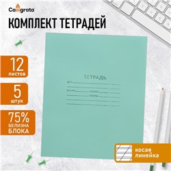 Комплект тетрадей из 5 штук, 12 листов в косую линию КПК "Зелёная обложка", блок №2, белизна 75% (серые листы)