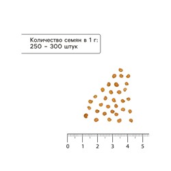 Семена Баклажан «Икорный», 0.1 г, «Гавриш»
