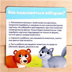 Развивающий набор «Найди шубку», в пакете
