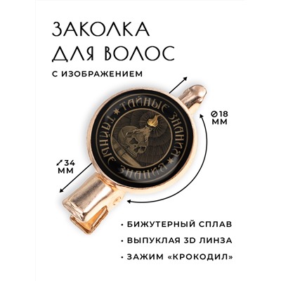 HZF-0374 Заколка Тайные знания
