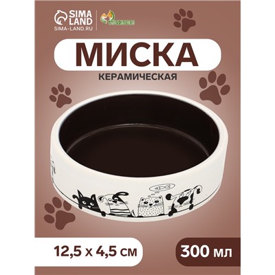 Миска керамическая "Весёлые котики"  300 мл  12,5 x 4,5 cм, графитово-белая