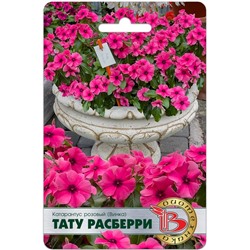 Катарантус розовый (Винка) Тату Расберри