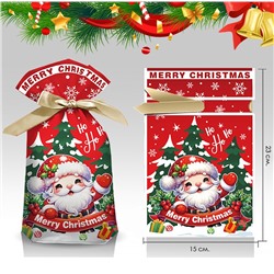 Пакет новогодний с атласной лентой для подарков и конфет 23*15 см. "Дед Мороз" Красный