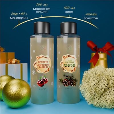 УЦЕНКА Новогодний набор №20