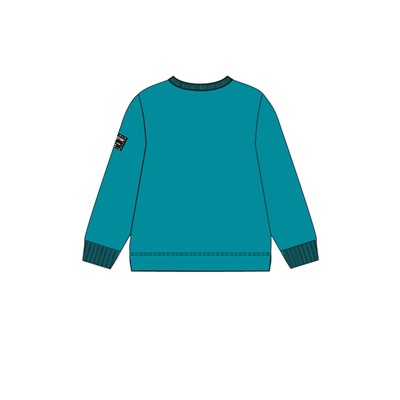 Толстовка для мальчика