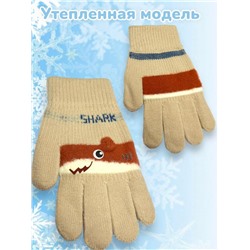 Перчатки для мальчиков Арт 2023/12 модель 5