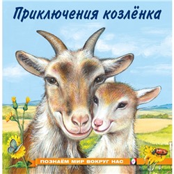 «Познаём мир вокруг нас. Приключения козлёнка», 16 стр.