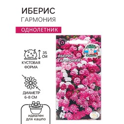 Семена цветов Иберис "Гармония", Евро , 0,1 г