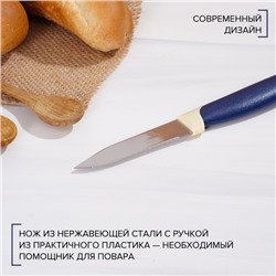 Нож для овощей кухонный Доляна «Страйп», зубчатое лезвие 7.5 см, синий