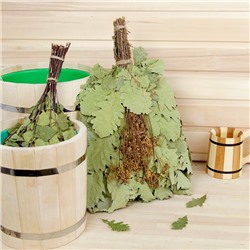 Веник для бани, дубовый, 55 см, с таволгой