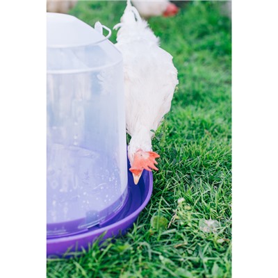 Поилка для домашней птицы, 35×35×30 см, 10 л, МИКС