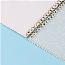 Фотоальбом на спирали 20 листов «Чайки», объёмный элемент и 4 вкладки, 24×24 см