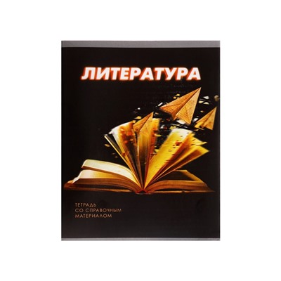 Тетрадь предметная 48 листов в линейку Calligrata «3D. Литература», серые листы