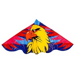 Воздушный змей «Ястреб», с леской
