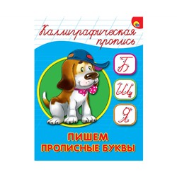 КАЛЛИГРАФИЧЕСКАЯ ПРОПИСЬ А5. ПИШЕМ ПРОПИСНЫЕ БУКВЫ
