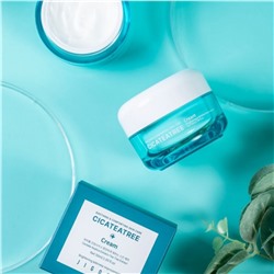 Jigott Крем для лица с экстрактами центеллы азиатской и чайного дерева / Cicateatree Cream, 50 мл