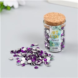 Декор для творчества в бутылочке «Стразы. Тёмно-фиолетовый», набор 500 шт., d=0.5 см, 7×2×2 см