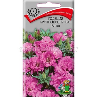 Годеция Крупноцветковая Катлея, арт.: 73503